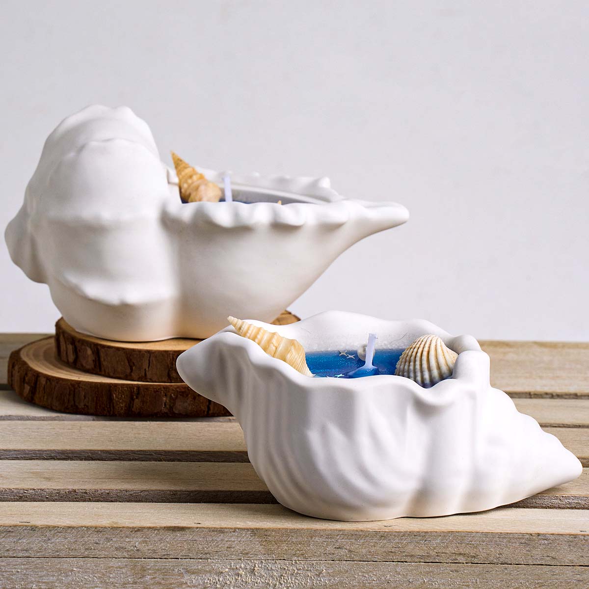 Conch Flowerpot Silicone Mold  - Idli Steamer Mold 评论和价格