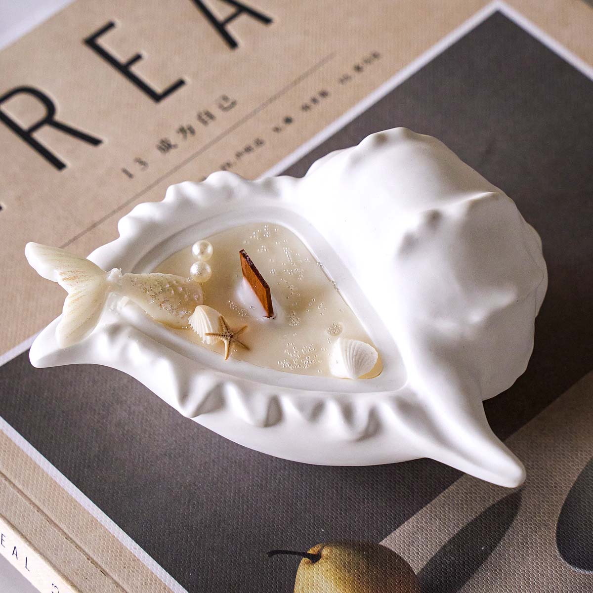 Conch Flowerpot Silicone Mold  - Idli Steamer Mold 评论和价格